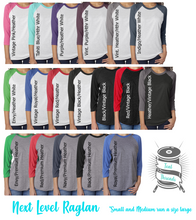 Load image into Gallery viewer, a group of women's raglan shirts with different colors