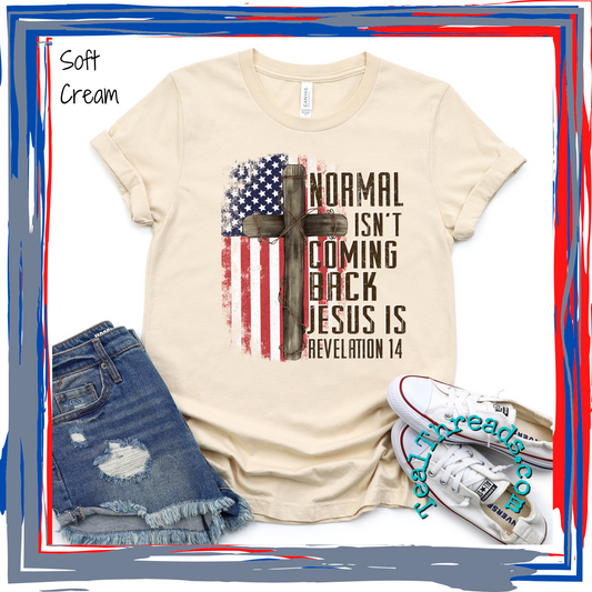 Normal Isn't Coming Back, Jesus Is