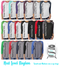 Load image into Gallery viewer, a group of women&#39;s raglan shirts with different colors
