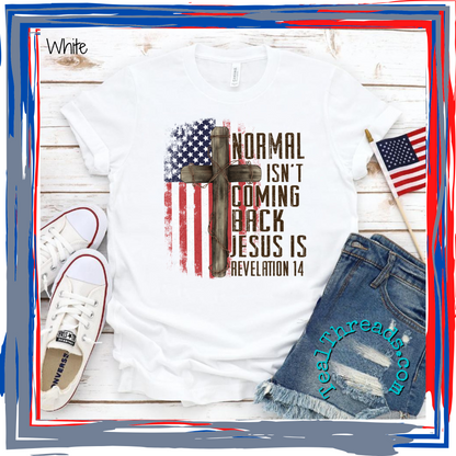 Normal Isn't Coming Back, Jesus Is