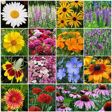 Load image into Gallery viewer, Wildflower Seed Mix
